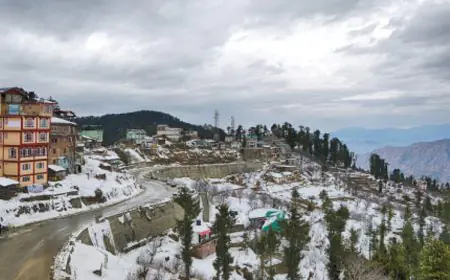 From Havelis To Hilltops: Winter Destinations Worth The Journey