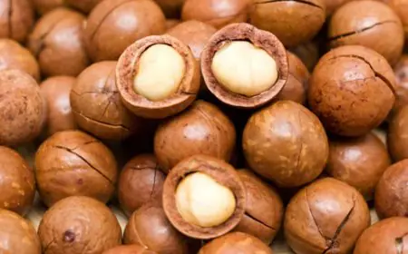 Easy Macadamia Party Bites To Brighten Your Christmas Holiday Table