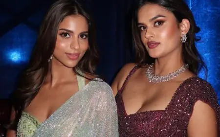 Suhana Khan Sparkles And Shines In Silver Rs 1.65 Lakh Saree From IRTH