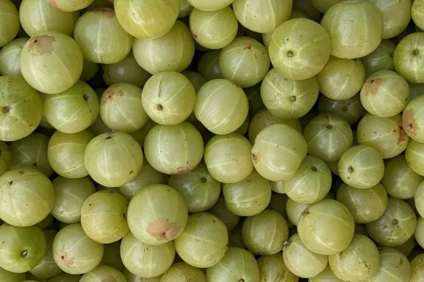 This Amla Shot Is Perfect Everyday Immunity Boosting Pick-Up Drink On Winter Mornings