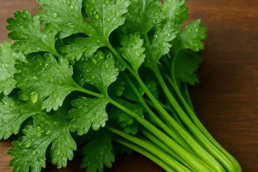 Hate Coriander? You're Not Picky, There Might Be A Scientific Reason!