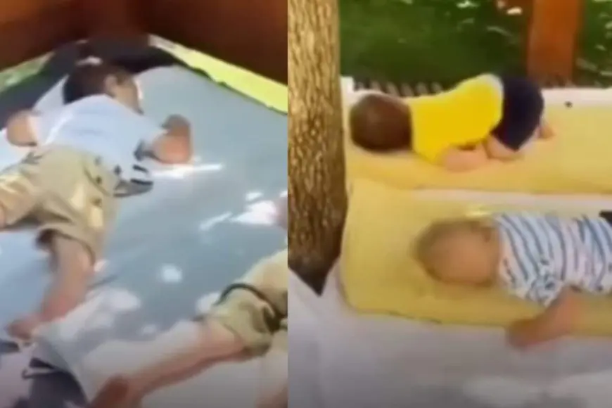 How An Italian School Is Using The Sounds Of Birds To Calm Children During Nap Time | Video