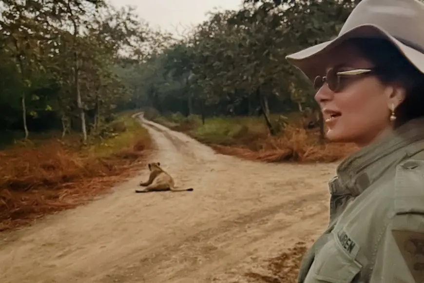 Kangana Ranaut’s Gir Safari Has Everyone Dreaming Of Gujarat: Guide To Plan Your Visit