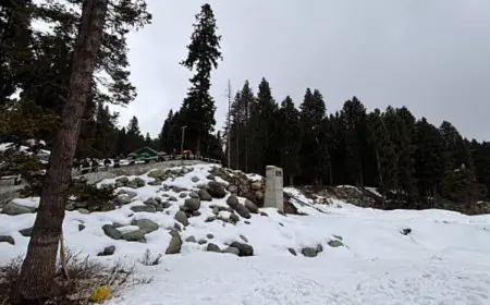 8 Underrated Winter Destinations In India For A Snowy Getaway