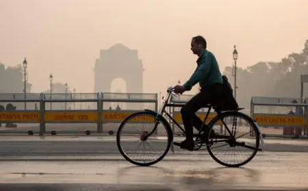 Tips To Keep Your Lungs Healthy During Winter Smog In Delhi-NCR