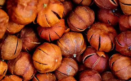 Add Water Chestnuts AKA Singhara To Your Winter Diet With This Tasty Salad