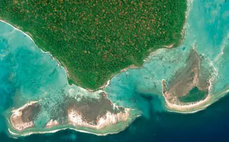 You Can’t Visit This Island In India: Why North Sentinel Is Completely Off-Limits To The World