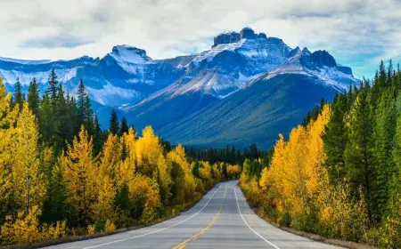 Top 10 Longest Roads In The World