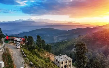 Clean Air, Clear Minds: Why More Indians Are Choosing To Live Differently