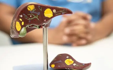 Can Liver Transplantation Cure Both Cirrhosis And Liver Cancer At The Same Time?