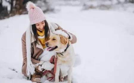 Cold Weather, New Places: Preparing Your Dog For Winter Vacations