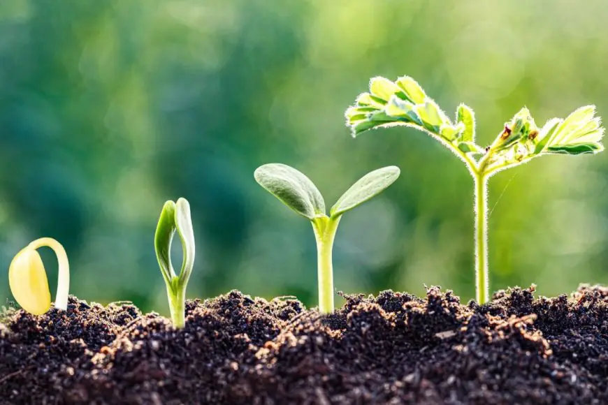 Why Soil Health Is India’s Most Urgent Climate And Food Security Priority
