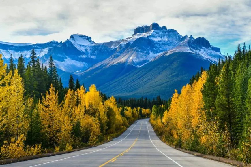 Top 10 Longest Roads In The World