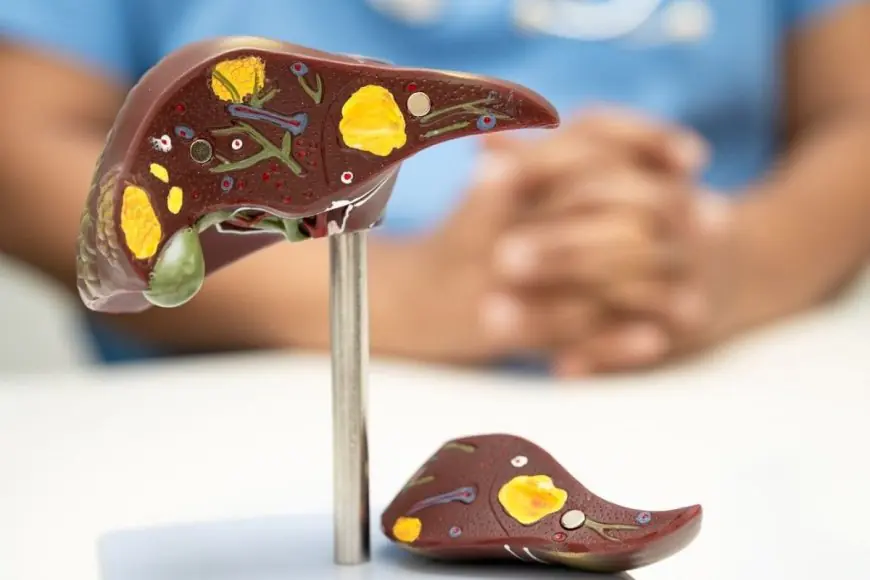 Can Liver Transplantation Cure Both Cirrhosis And Liver Cancer At The Same Time?