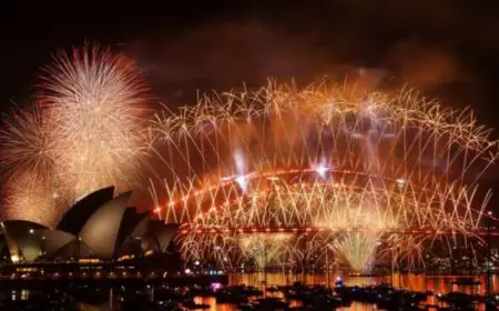 New Year LIVE Updates: India Welcomes 2026 With Zeal, Cities Burst Into Celebration