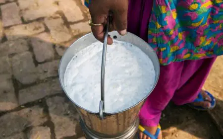 Is Your Milk Pure? Simple Home Tests To Check If It Is Adulterated With Water