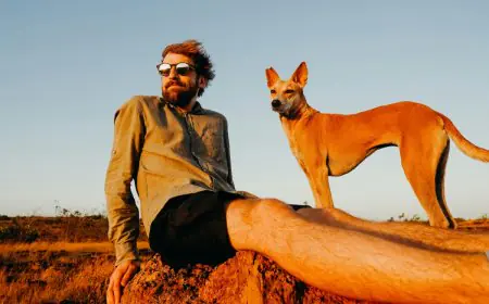 Are You An Introvert? These Dog Breeds Can Be Your Best Companion