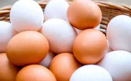 How Many Eggs Are Safe To Eat Daily? Nutrition Experts Break It Down