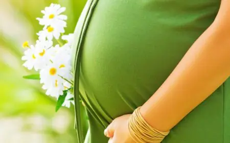 Infertility, Pregnancy Loss & Low Parity Linked to Higher Osteoporosis Risk in Menopausal Women