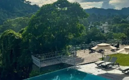 Forest Bathing To Horse Riding: Top 5 Things To Do At Naukuchia House