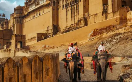 Travel Guide: Best Places Across India To Visit In February