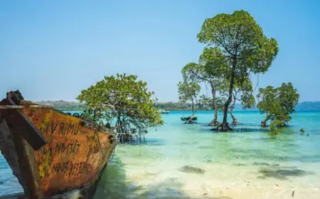 February Travel Guide: 5 Stunning Indian Destinations At Their Absolute Best