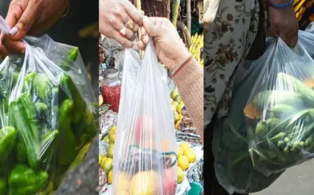 The Common Fridge Mistake Everyone Makes That Causes Vegetables To Rot Faster And Lose Nutrients
