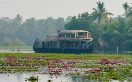 GK: Which City Is Called The Evergreen City Of India?