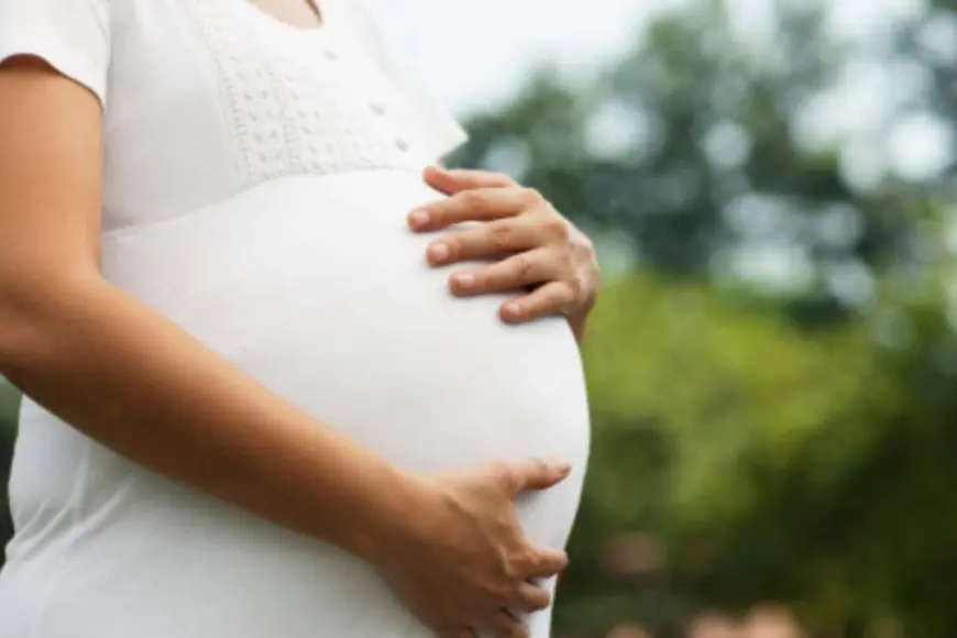 The Modern Mom’s Challenge: How Busy Lifestyles Affect Pregnancy Nutrition