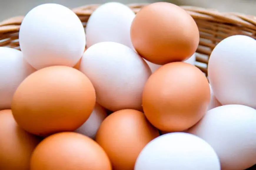 Doctor Share 4 Food Types That Can Naturally 'Mimic Ozempic' & Help In Weight Loss