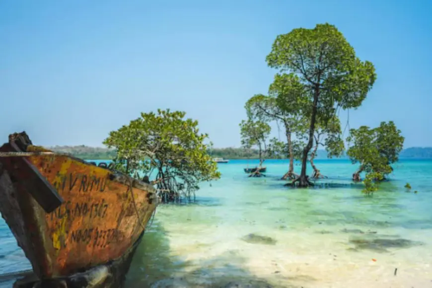 February Travel Guide: 5 Stunning Indian Destinations At Their Absolute Best