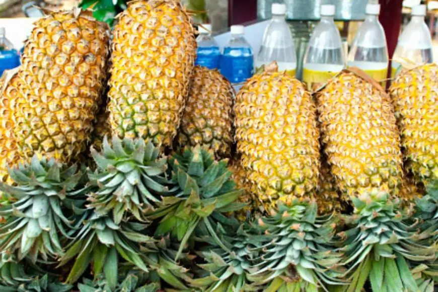 Pineapple Core, Pomegranate Seeds, Dates: Do Viral Fertility Foods Actually Help Men?