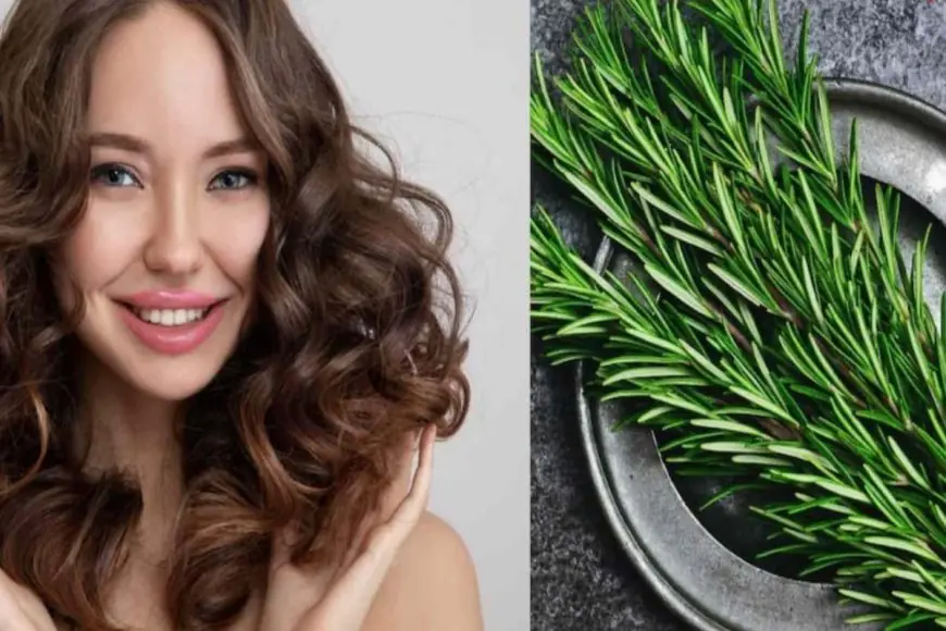 Rosemary Water For Hair: Make This Magical Tonic At Home For Faster Growth