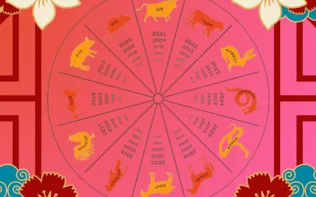 Chinese Zodiac Compatibility: Who Is Your Best And Worst Love Match Based On Your Birth Year Animal Sign