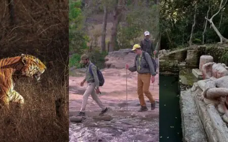 From Kanha To Pench: Skip Jeeps And Try These Beautiful Walking Safaris Inside India’s National Parks