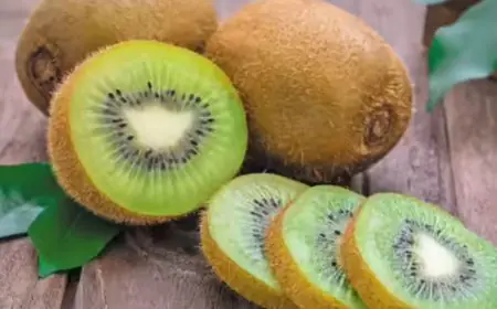 Often Stuck In The Toilet? After 15 Years Of Research, THIS Fruit Is Proven To Relieve Chronic Constipation