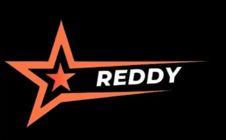 Building Brands Through Insight and Innovation: An Exclusive Interaction with the Team Behind Reddy Marketing Agency