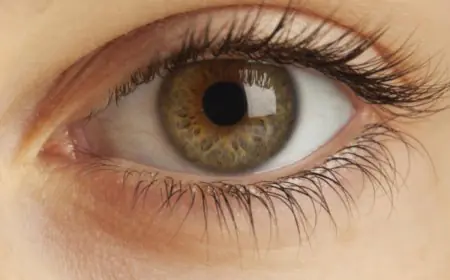 Common Eye Conditions That Lead To Low Vision And Why Early Detection Matters