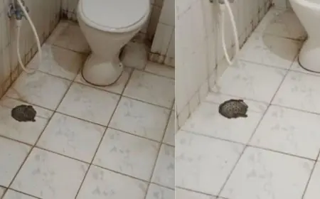 From Dirty Tiles To Dazzling Shine, These Low-Cost Bathroom Cleaning Hacks Actually Work