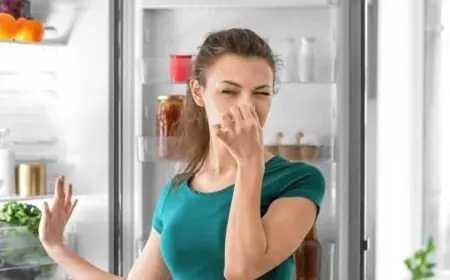 Bad Smell Every Time You Open The Fridge? These 4 Budget Hacks Work Like Magic