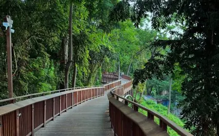 Love But Make It Wild: 5 Nature Walks To Visit This Valentine’s Weekend In Mumbai