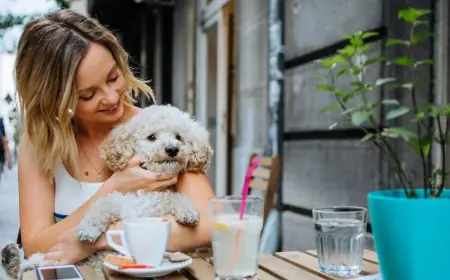 Everyday Feeding Habits That Strengthen The Bond Between You And Your Pet
