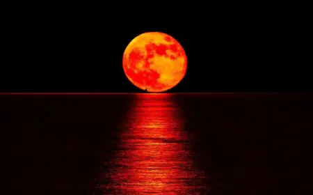 Blood Moon On March 3: Best Places To Watch The Lunar Eclipse In India