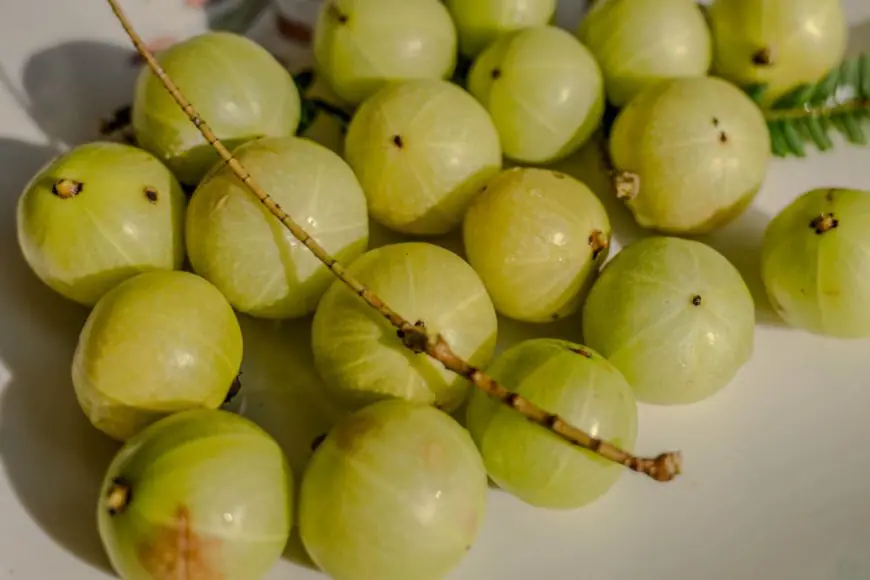How Drinking Amla Water In Winter Will Improve Immunity, Digestion, Skin And Hair