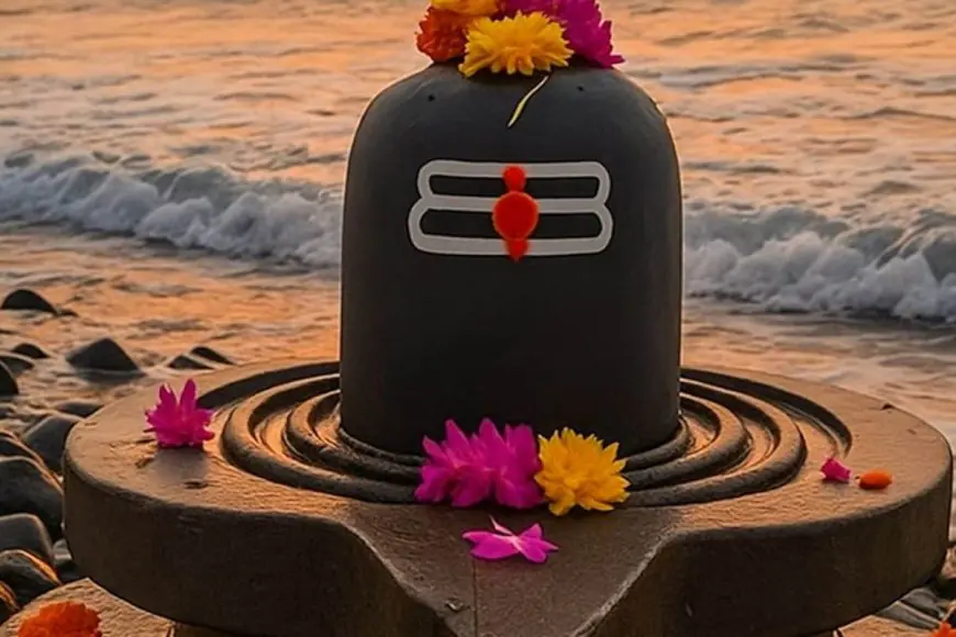 Maha Shivratri 2026: What Not To Offer Lord Shiva