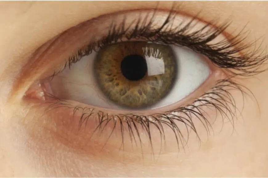 Common Eye Conditions That Lead To Low Vision And Why Early Detection Matters
