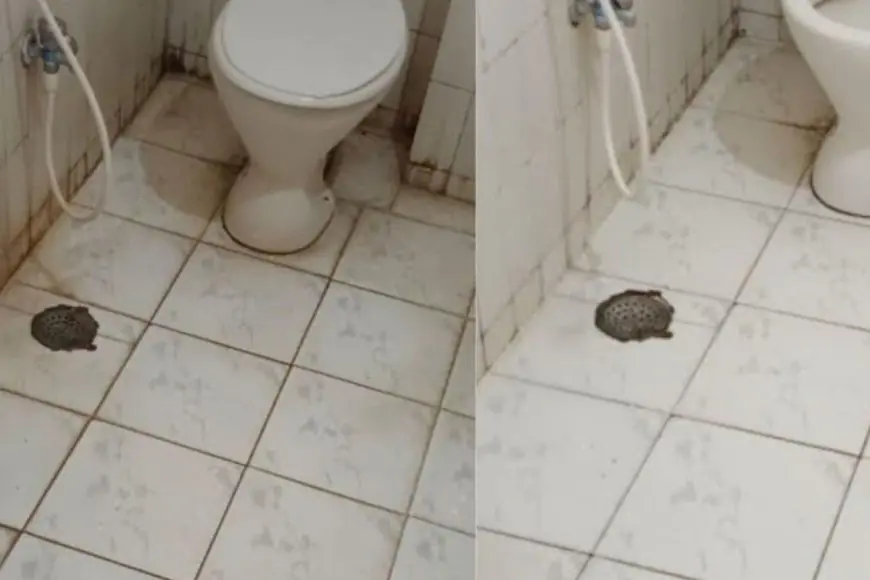 From Dirty Tiles To Dazzling Shine, These Low-Cost Bathroom Cleaning Hacks Actually Work