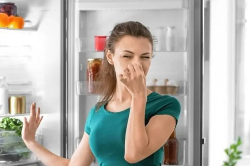Bad Smell Every Time You Open The Fridge? These 4 Budget Hacks Work Like Magic