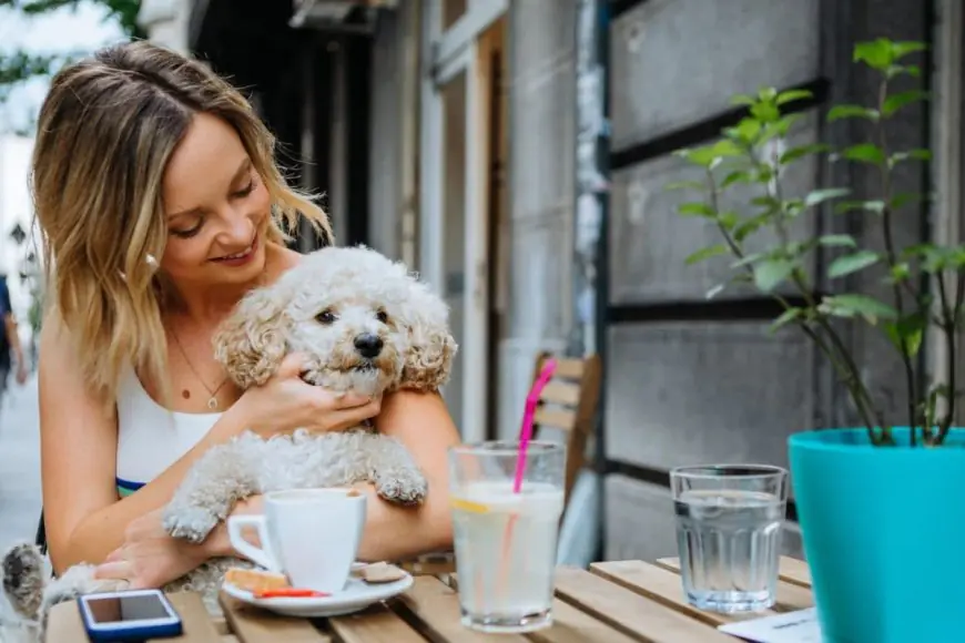 Everyday Feeding Habits That Strengthen The Bond Between You And Your Pet