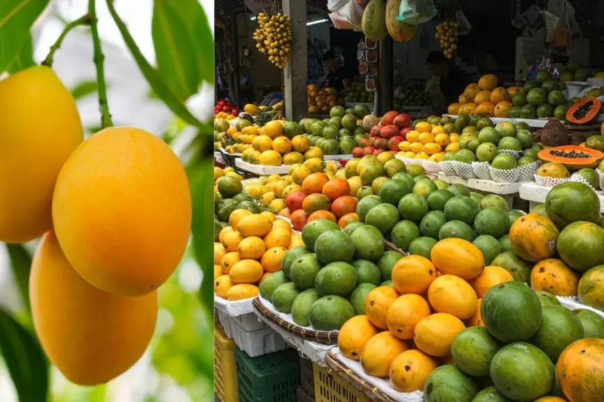 Is Mango Extract The Next Breakout Ingredient In Cognitive Nutrition?